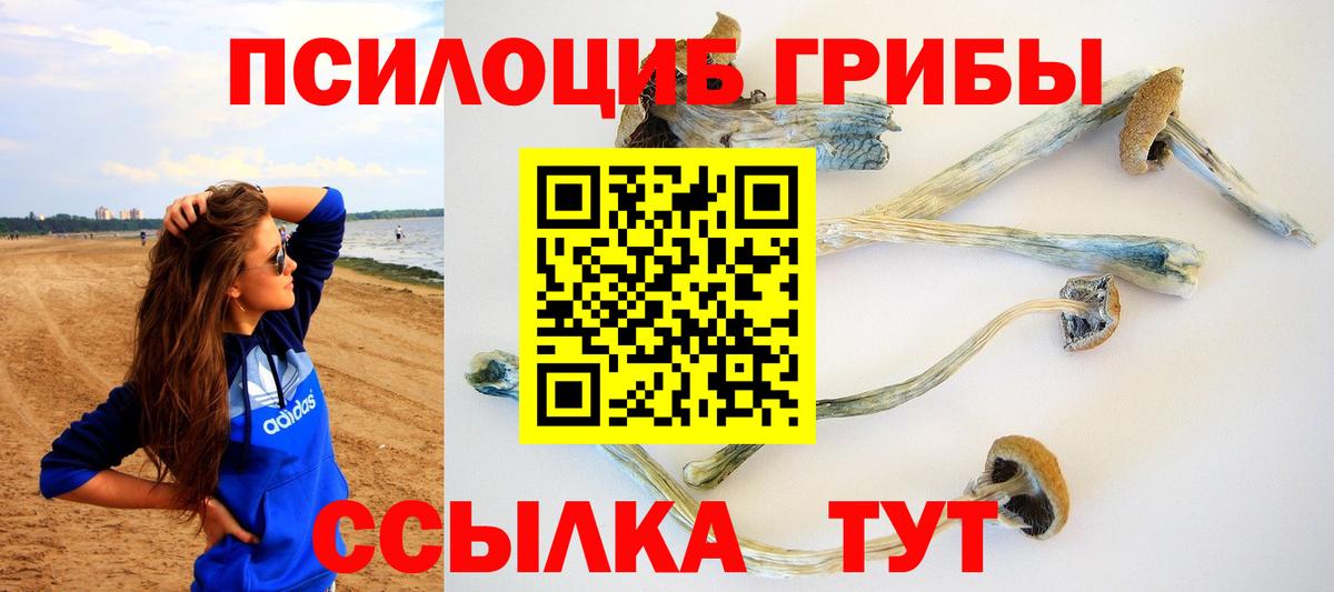 Галлюциногенные грибы прущие грибы  Вход с VPN  купить наркотики цена  Псилоцибиновые грибы Cubensis  Уварово 